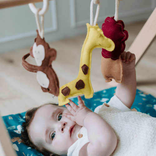 Wooden Baby Play Gym Kit, Wild Animals 0-12m – photo 2